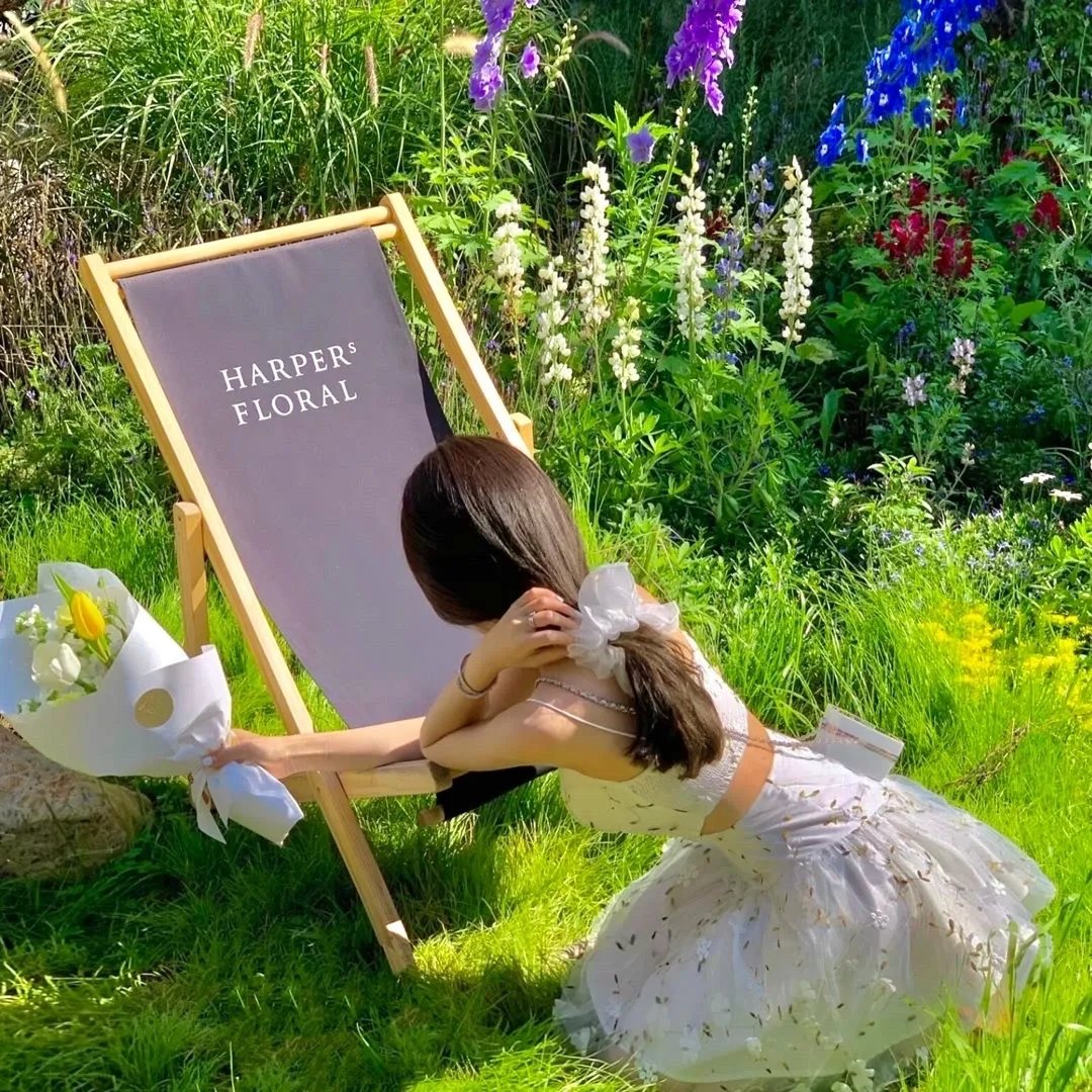 蛇来运转回家过年